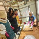 콩각시 농원 이미지