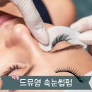 남도약국(태양프라자) | 드뮤영 수원 영통역속눈썹펌 래쉬펌 후기 뷰러 쓰면 안되는 이유
