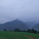 하장면행정복지센터 이미지