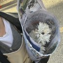 윤톨 | 포시즌 일상 (8)