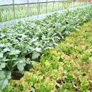 미림횟집 이미지