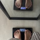 예가참치 | 김봉화의 일상 | 요요 온 새신부, 평화롭다 우체국, 선거휴무 만끽 (+대구맛집들)