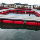 고래좌대낚시터 이미지