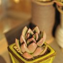 원종방앗간 이미지