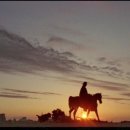 가학농장 이미지