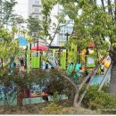 감나무골 물놀이공원 이미지