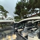 개 태우는 오빠 이미지