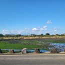 보람민박 이미지