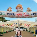영덕군민운동장 | 2024 영덕송이축제 벌영리 메타세콰이어숲 등 영덕 가볼만한곳