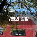 사진으로 본 새로운 세상 | 7월의 일상. 이것저것 사진으로 남겨본 평범하지만 특별한 여름. 서이추 환영.