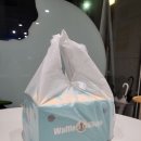 와플칸두정점