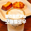 멜로우월드 | 송도 센트럴파크 카페 애견동반 모어멜로우 모어슈페너 후기