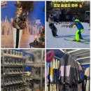 슬기로운 렌탈 | 슬기로운 스키 렌탈 흔한 실수 피하고 완벽 장비 사용법