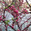 가좌근린공원 이미지