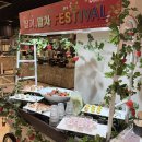 (주)에프앤디넷 목동제일점 | 목동 기념일 맛집 마키노차야 딸기말차 페스티벌 내돈내산 후기