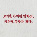 황부자 이미지