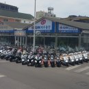 한라여행사 이미지