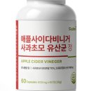 드빅 네이버블로그