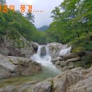 둔전골 이미지