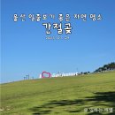 비석1길 | 울산 간절곶 우체통, 주차장, 카페
