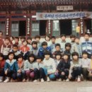 수항초 이미지
