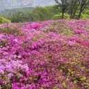 백양산막걸리 이미지