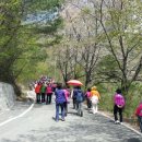 벽산사 이미지