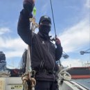 금땡이 | 대광어 대신 봄쭈꾸미 : 라이트지깅대로 갔다가 제대로 멘붕 온 이유