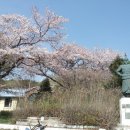 회천동초등학교 이미지