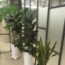 광덕안정한의원 이미지