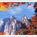 산중문답 Daum카페