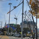 부산 블랑 써밋 74 ( 263m ) 최신 현장 사진 이미지