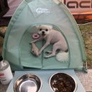 위천수변테마파크 이미지