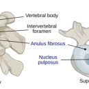 호랑한의원 이미지