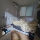 11단지가인부동산공인중개사사무소 이미지