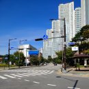 화성바벨클럽 이미지