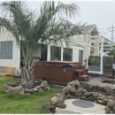 빛채움 스테이 이미지