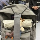 THE 1 | 🇹🇼 데이식스 The Decade 대만콘 후기 (1) : 내가 살다살다 해투를 가네....?