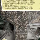 강주농장 이미지