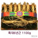 수삼센터83호
