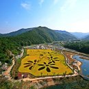 정읍화원