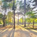 남이섬 더 휴 이미지