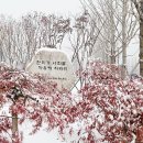 문일학원 이미지