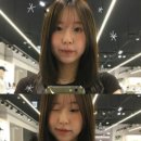 헤이즐톤 이미지