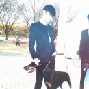 121117 東方神起 LIVE WORLD TOUR &#34;Catch Me&#34; in SEOUL 동방신기 단콘 후기