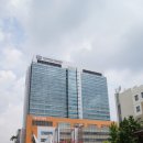 가톨릭대학교 네이버블로그