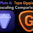TOPAZ PHOTO AI and TOPAZ GIGAPIXEL AI (Upscaling and Enhancing Comparison) 이미지