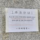 금곡가야밀면 이미지