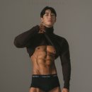 페르소나 PT 이미지