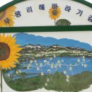 산골짜기 - 장성군 | 산골짜기